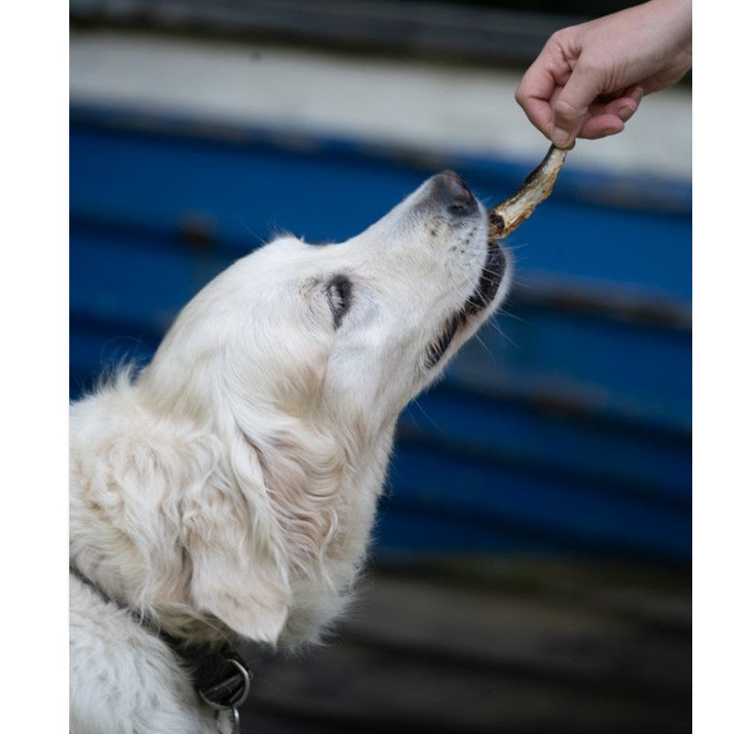 Baltic Sprats (Natural Dog Treats)