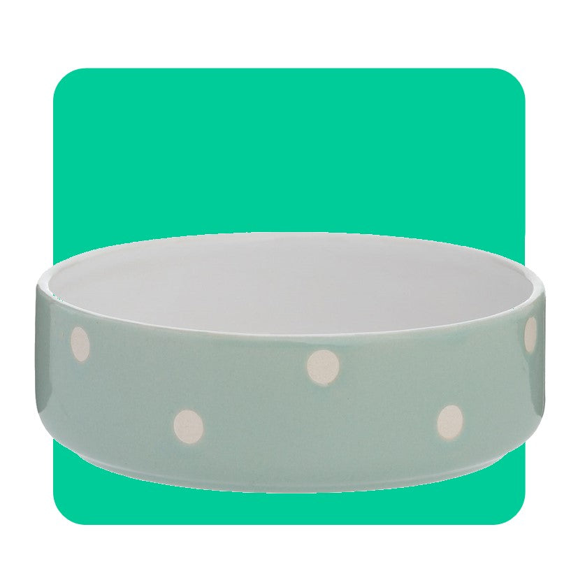 Mason Cash Polka Dot Sage Dog Bowl