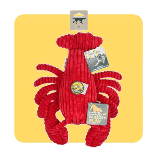 Tall Tails Sensory Crunch Lobster - 14"