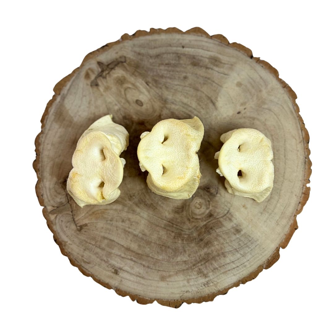 Puffed Pig Snouts (Natural Dog Treats)