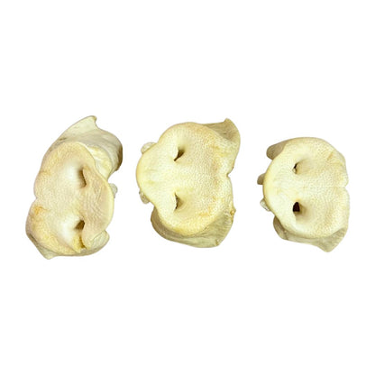 Puffed Pig Snouts (Natural Dog Treats)