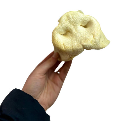 Puffed Pig Snouts (Natural Dog Treats)