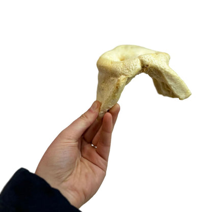 Puffed Pig Snouts (Natural Dog Treats)