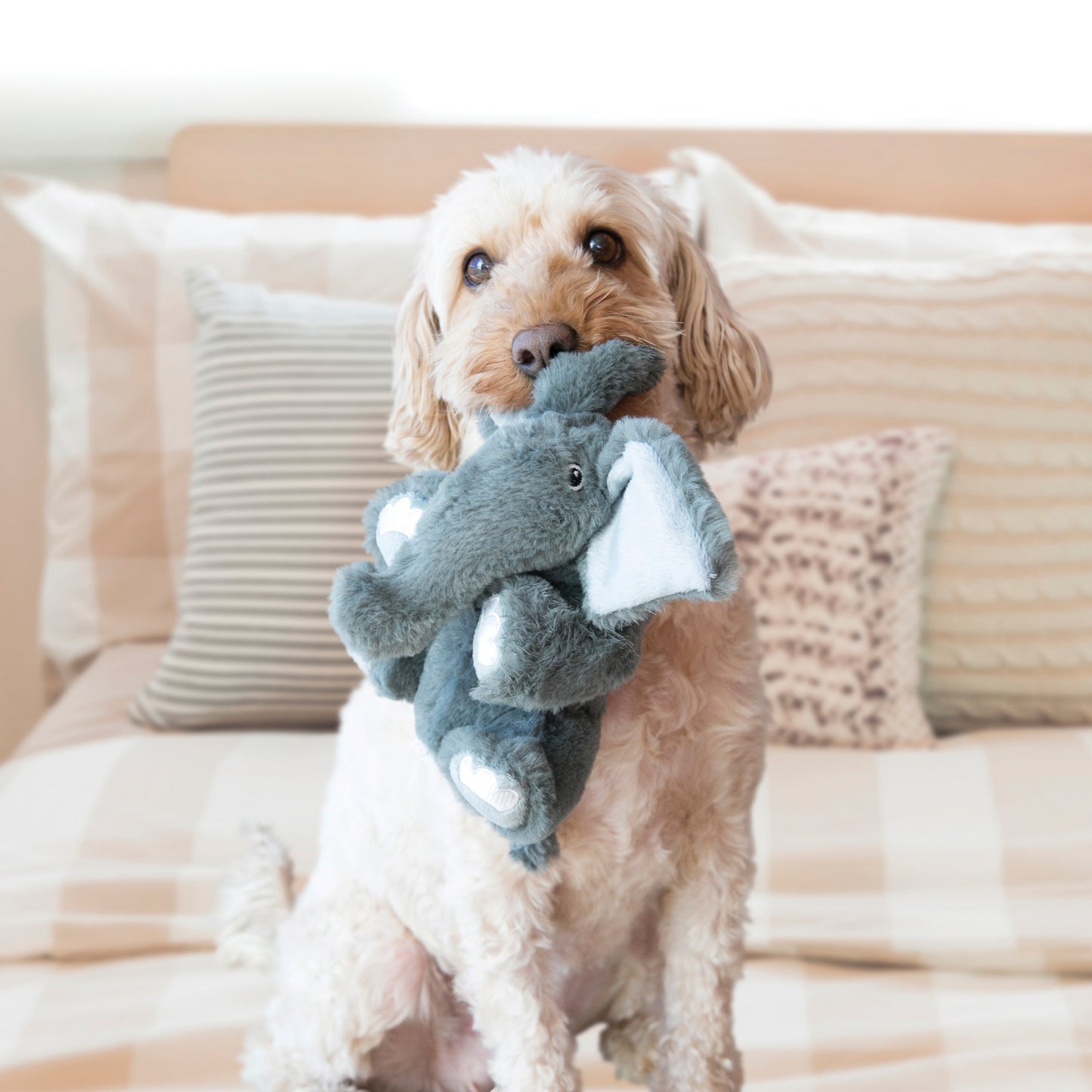 KONG Comfort Kiddos Pig, Lion, Elephant, Bear Plush Dog Toys with Removable Squeaker