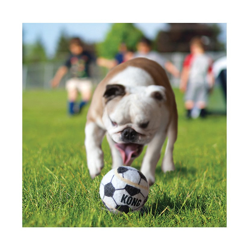 KONG Sports Balls