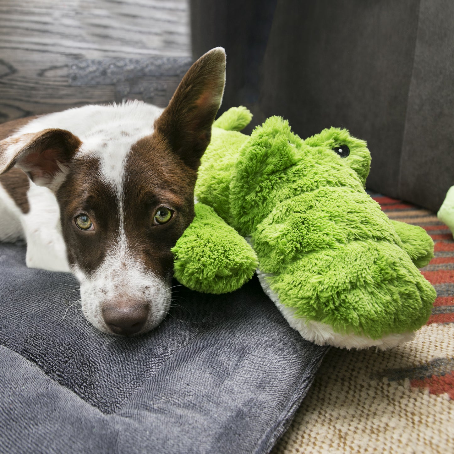 KONG Cozie Plush Soft Cuddly Dog Toy Range