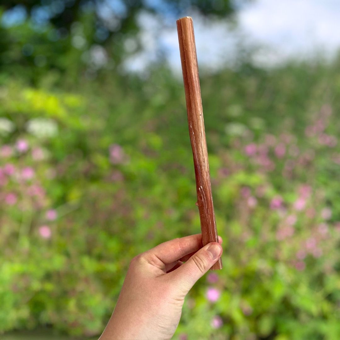 Bull Pizzles 24cm (Natural Dog Treats)