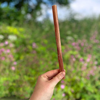 Bull Pizzles 24cm (Natural Dog Treats)