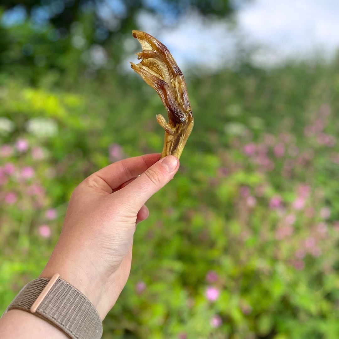 Paddock Farm Duck Feet - 1kg
