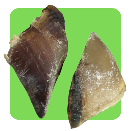 Cow Hooves (Natural Dog Treats)