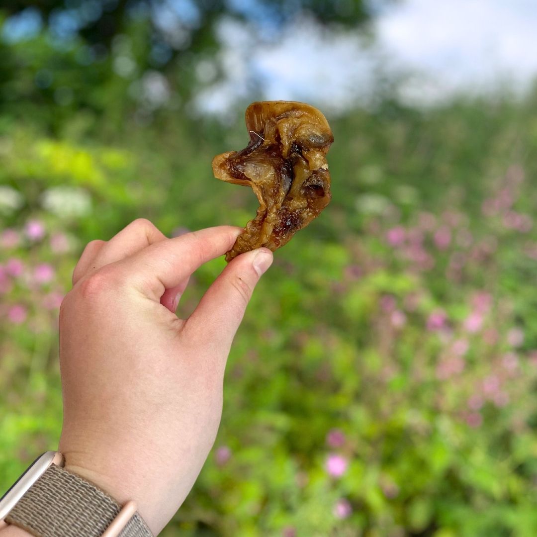 Paddock Farm Pork Crunch (Porky Bites) - 500g