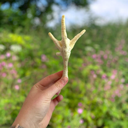 Paddock Farm Puffed Chicken Feet - 1kg