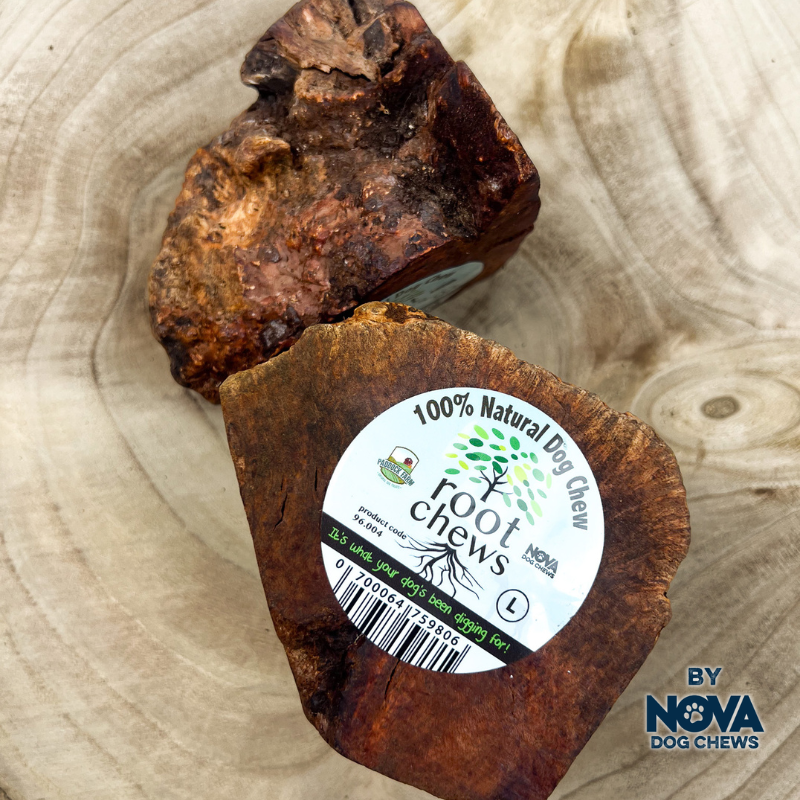 Briar Root Chew - Long Lasting Splinter Free Dog Chew