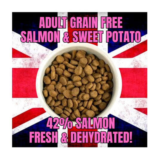The Delicious Dog Food Company Grain Free Salmon & Sweet Potato